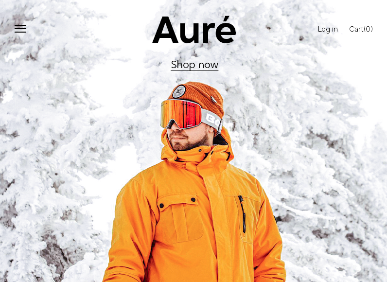 Website voorbeeld 11